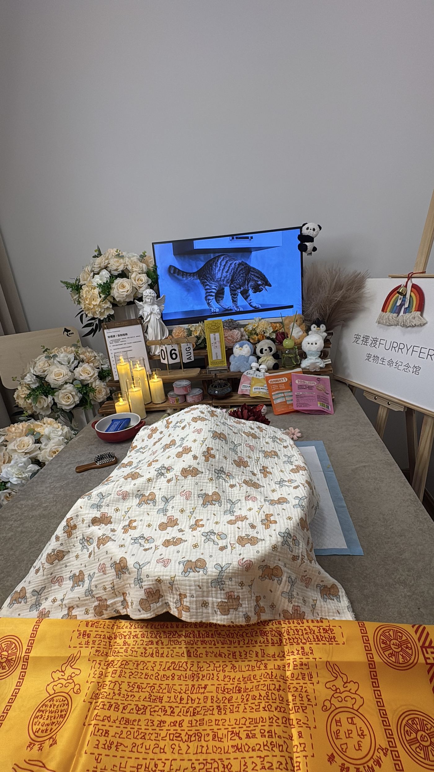 关于离开的提问