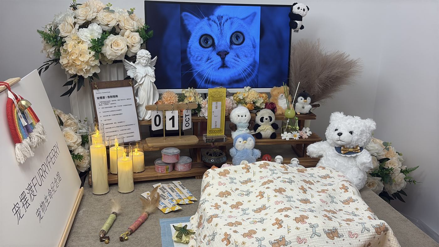 淮安宠物告别厅布置：如何给淮上家属一个体面的告别